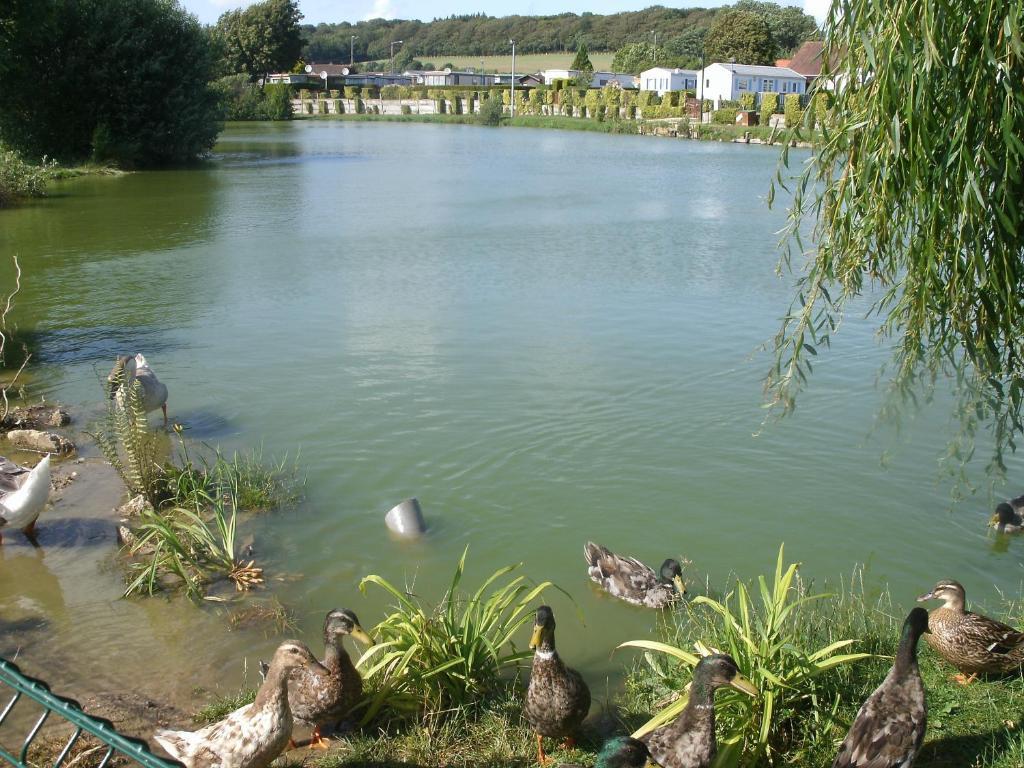 Auberge Des Etangs Roussent エクステリア 写真